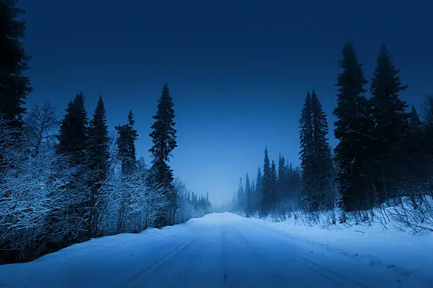 Photo of night road in winter forest