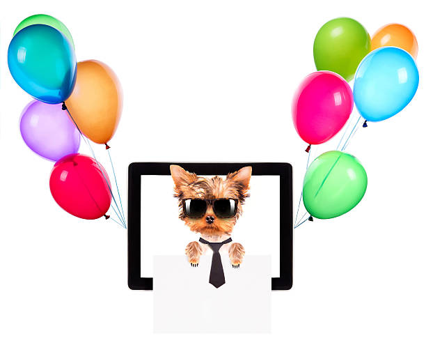 istock business dog holding banner on a tablet screen 465879143