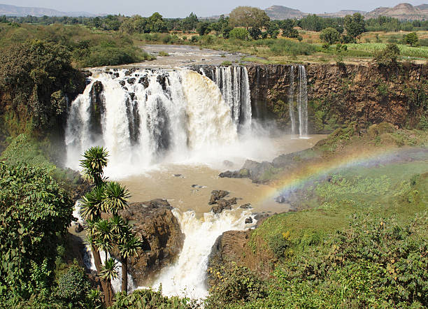Blue Nile falls, Bahar Dar, Ethiopia Blue Nile waterfalls, Bahar Dar, Ethiopia, Africa blue nile stock pictures, royalty-free photos & images