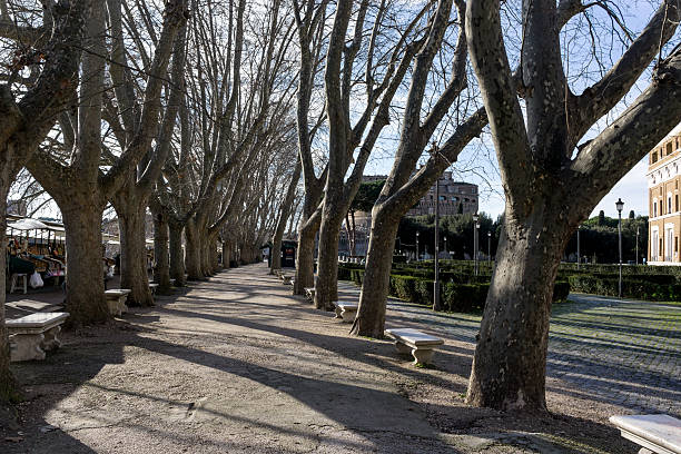 A small market and park with rows of trees nearby Castle Sant'Angelo.