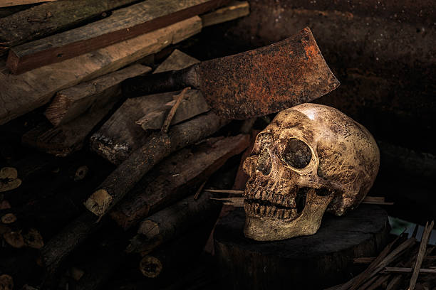 istock Still life skull and  firewood 465881544
