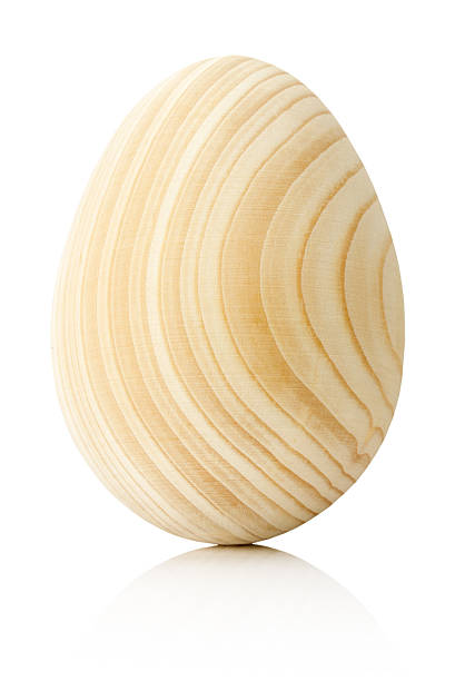istock wooden egg isolated on white background 465881756