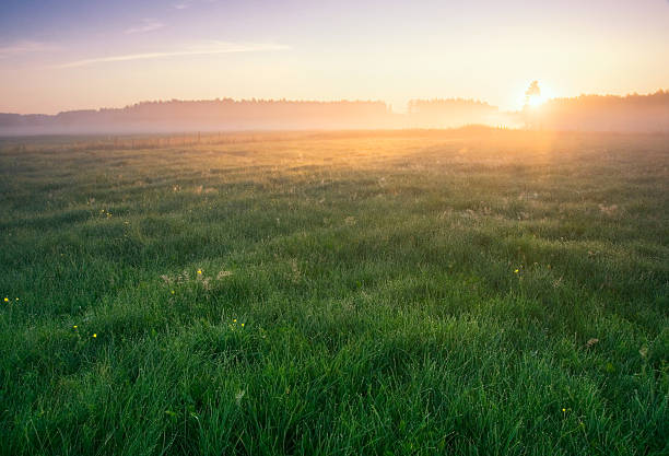 istock Beautiful sunsrise on foggy meadow 465881822