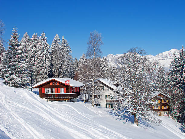 istock Winter holiday house 465881958
