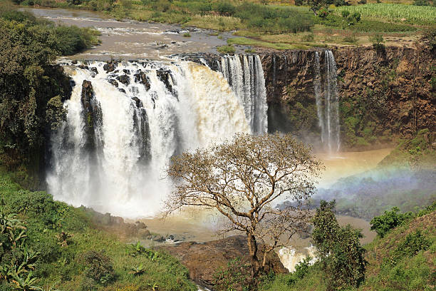 istock Blue Nile falls, Bahar Dar, Ethiopia 465885168