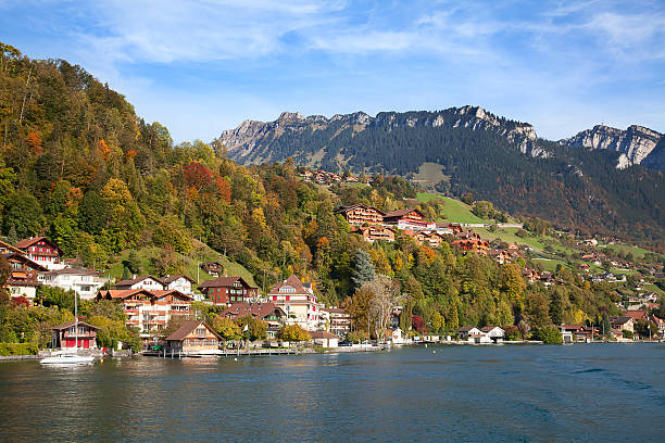 lago di thun - jungfrau region foto e immagini stock