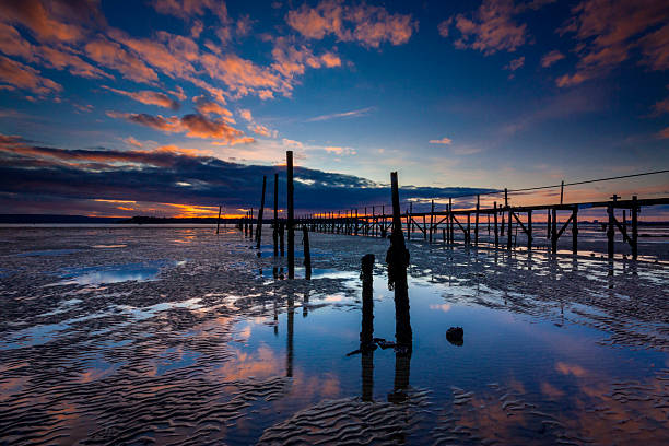 The setting sun illuminates the scene in one of the most beautiful areas of Dorset