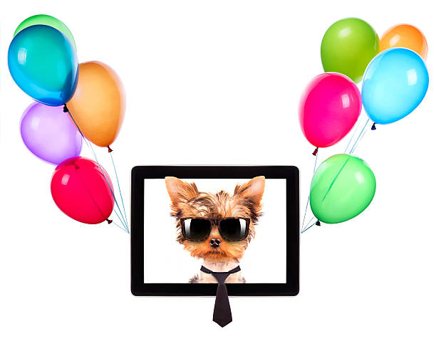 istock business dog on a digital tablet screen 465891933