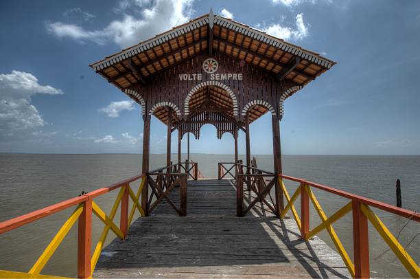 ilha mosqueiro, belém, para - sea fig imagens e fotografias de stock