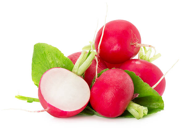 istock radishes isolated on the white background 465897618