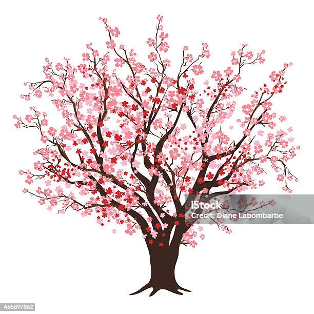 Pink And Red Cherry Blossom Tree In Full Bloom Stock Illustration - Download Image Now - Cherry Tree, Tree, Cherry Blossom