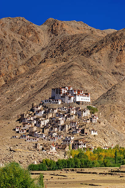 Chimray monastery with vertical view of Himalayan mountians in background,Ladakh,Jammu and Kashmir, Northern India