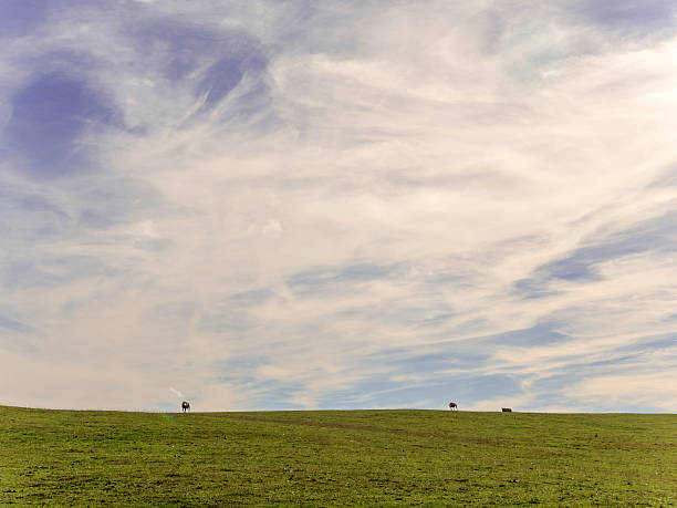 colina de cleeve - hill cotswold grass moor fotografías e imágenes de stock