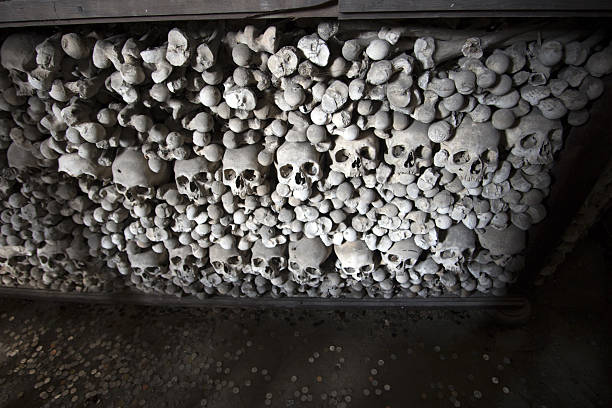 gestapelte menschlicher knochen - kutna hora skull human bone people stock-fotos und bilder