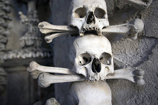 menschlicher schädel, nahaufnahme - kutna hora skull human bone people stock-fotos und bilder
