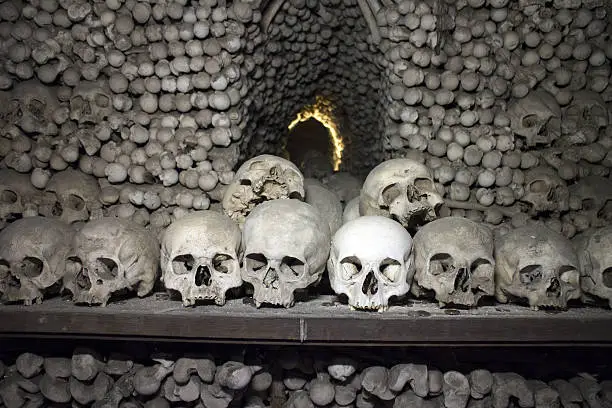 Arranged Human Skulls and Bones