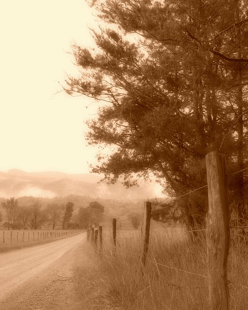 istock Fence and Tree Along Gravel Road 465904549