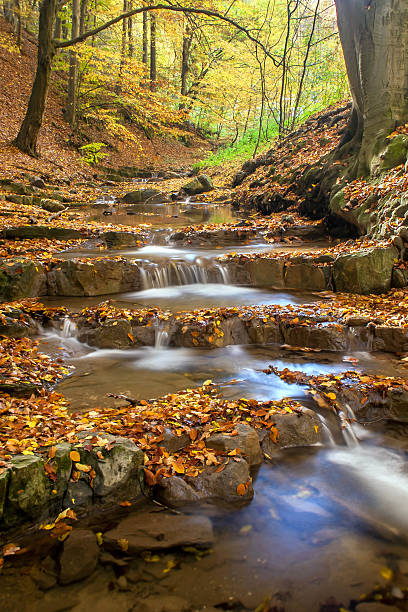 istock Autumn landscape with trees and river. 465904991