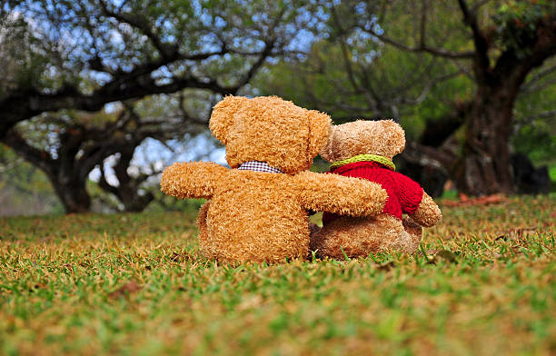 istock Back view of two teddy bears sitting in the garden. 465905057