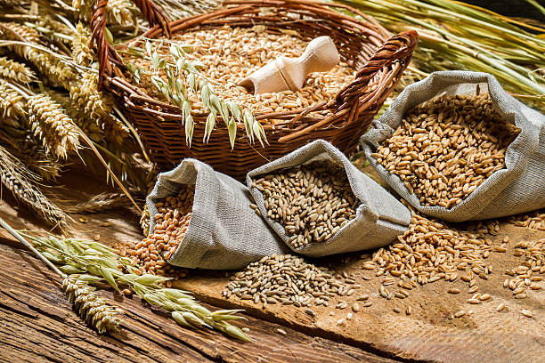 istock Four types of grains in containers 465905979