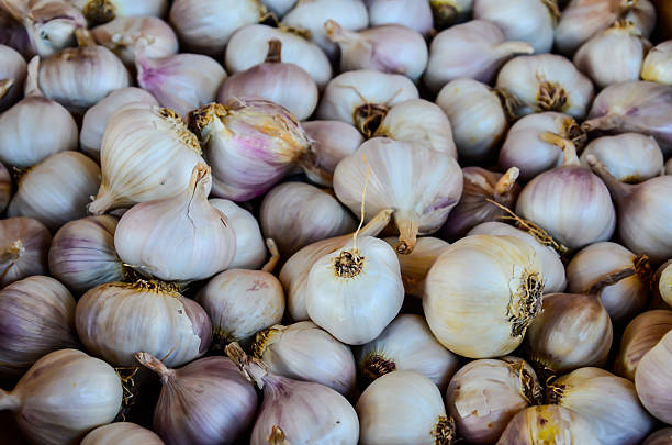 istock Garlic on a market place 465906563