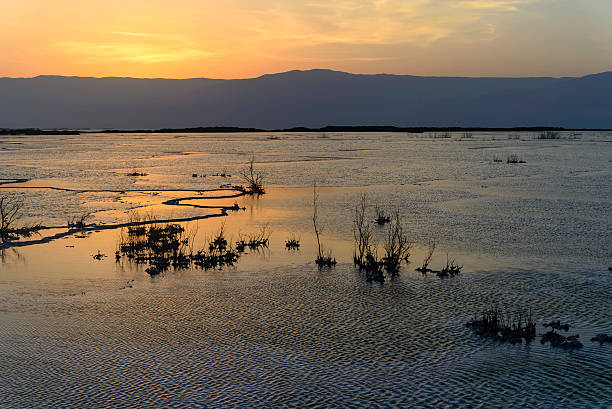 istock Israel. Dead sea. Dawn. Sunrise. 465907118