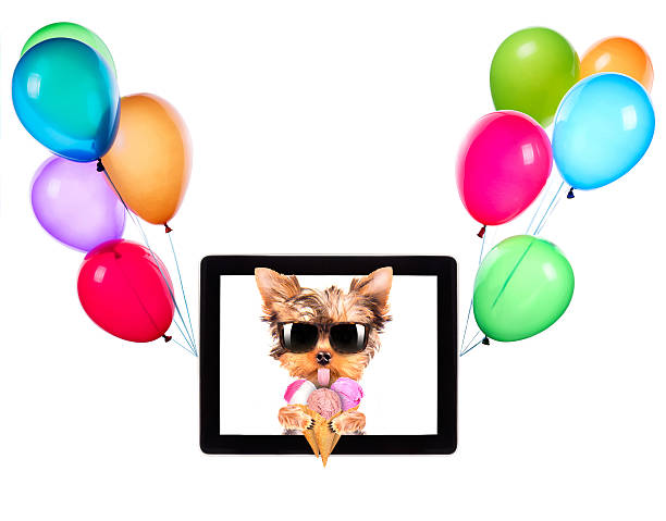 istock dog with ice cream on tablet and balloons 465909925
