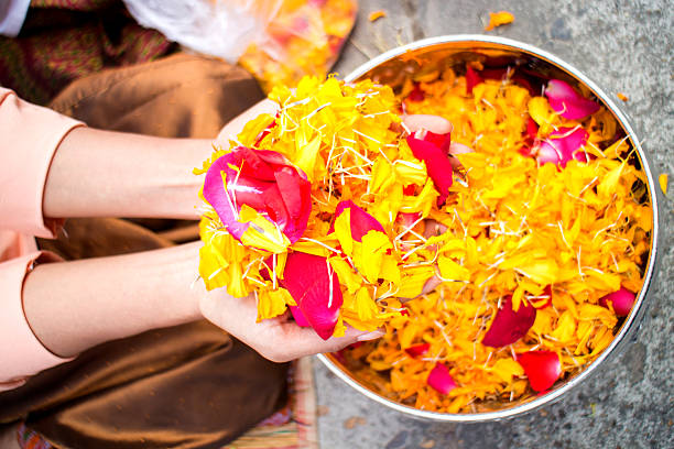 istock Beautiful flower petals hand on 465910753