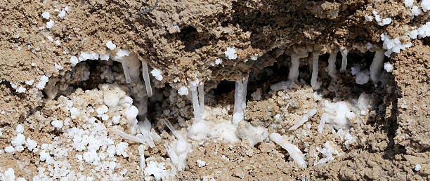 istock dead sea salt at Jordan, Middle East 465911994