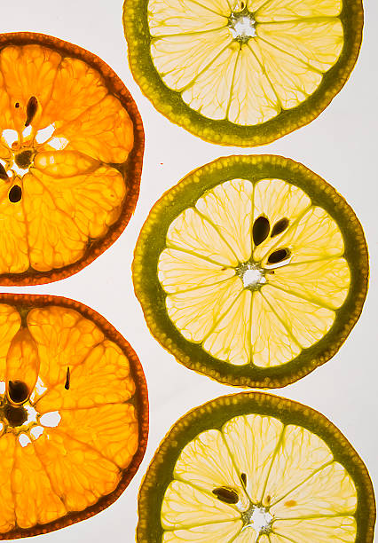 mix di agrumi - citrus fruit frame portion isolated foto e immagini stock