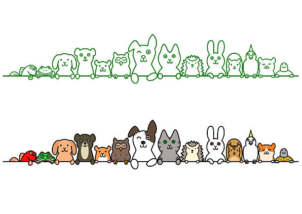 Pet Animals In A Row With Copy Space Stock Illustration - Download Image  Now - Dog, Domestic Cat, Pets - iStock