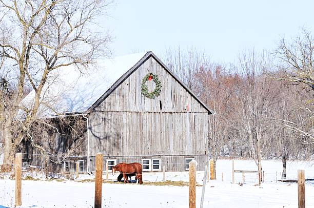 cheval et couronne florale - farm winter field fence photos et images de collection