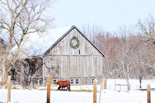 Brown horse in corral by barn with wreath.