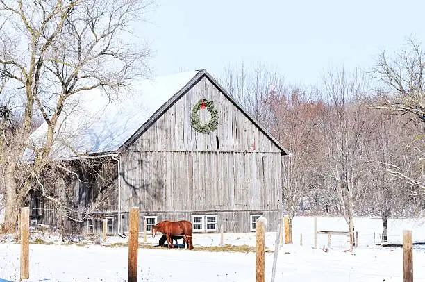 Photo of Horse in snow outside wooden barn with wreath on the side