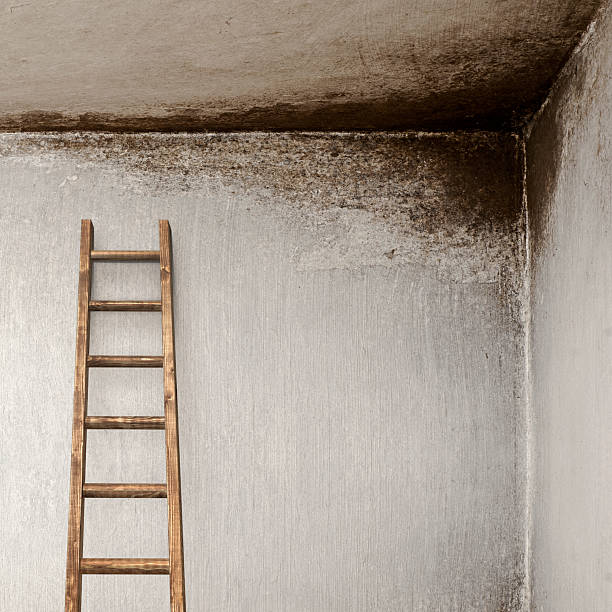 istock stucco wall with wooden ladder 465923162