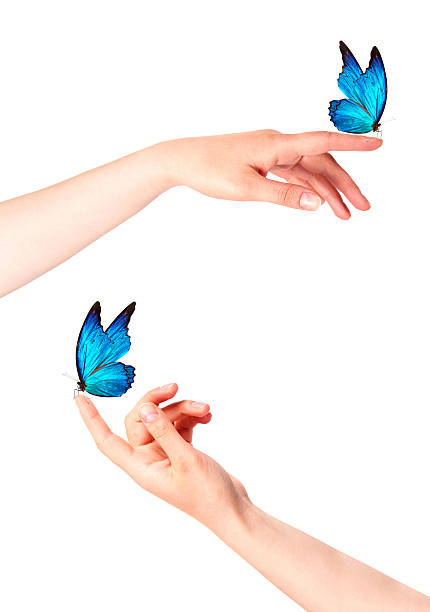 istock butterfly on woman's hand. In motion 465925387