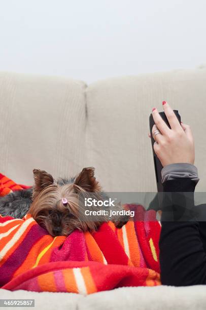 Foto de Mulher E O Seu Animal De Estimação Em Um Sofá e mais fotos de stock de Animal - Animal, Animal de estimação, Braço humano