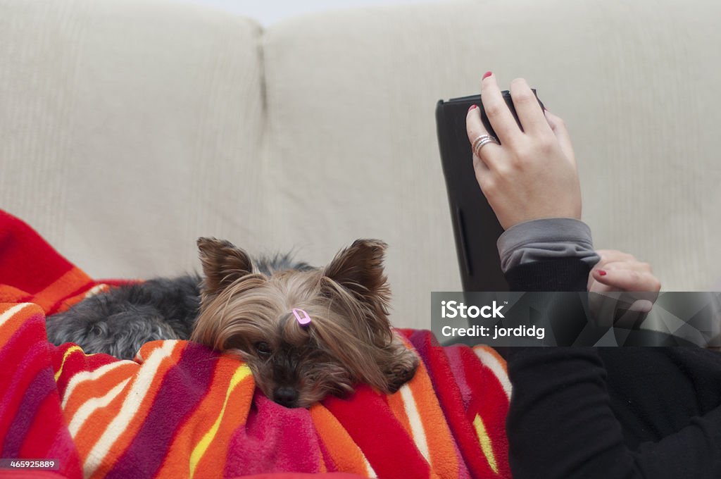 Yorsay liegt neben dem Hauptschlafzimmer - Lizenzfrei Computer Stock-Foto