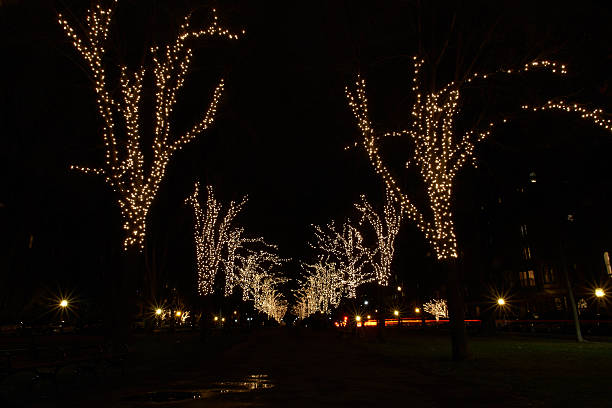 istock Street with Christmas decorations 465932001