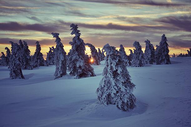 istock Sunset in snowy country 465932421