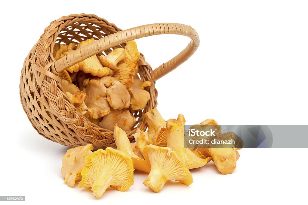 chanterelle mushrooms chanterelle mushrooms isolated on white background Basket Stock Photo
