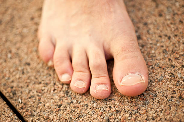 Male Foot Barefooted adult male foot with clipped toenails bed of nails stock pictures, royalty-free photos & images