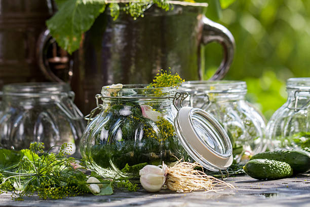 istock Fresh pickling cucumbers in the countryside 465933159