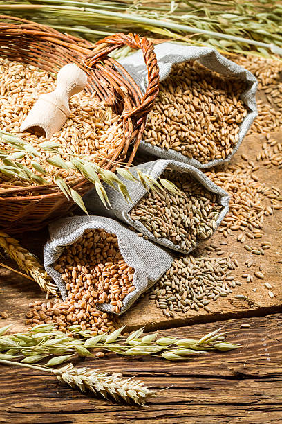 istock Rye, barley and wheat are the basis for good bread 465934101