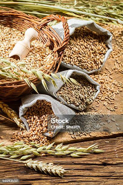 Rye Barley And Wheat Are The Basis For Good Bread Stock Photo - Download Image Now - Abundance, Agriculture, Bag