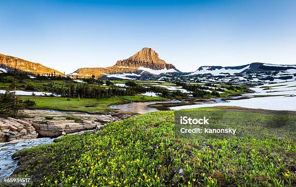 Foto de Campo De Flores Silvestres No Logan Passe Glacier National Park Mt e mais fotos de stock de Logan