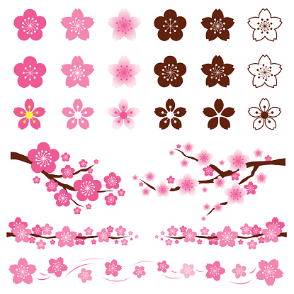 Cherry Blossoms or Sakura in Japanese Set