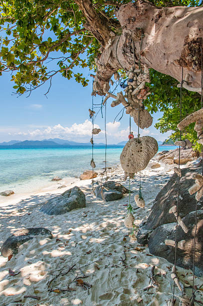 istock thailand,koh Chang,island,beach,white sand,sea,tree,coral 465935806