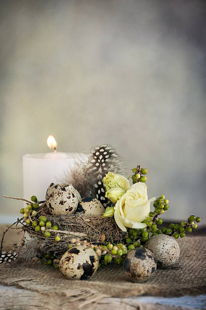 istock Quail eggs and feathers in a nest 465937131