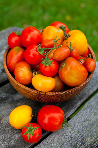 istock red and yellow tomatoes in a basket 465937821